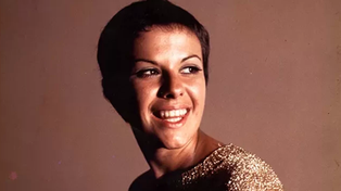 Elis Regina: los días turbulentos de una estrella que se hundió en la noche