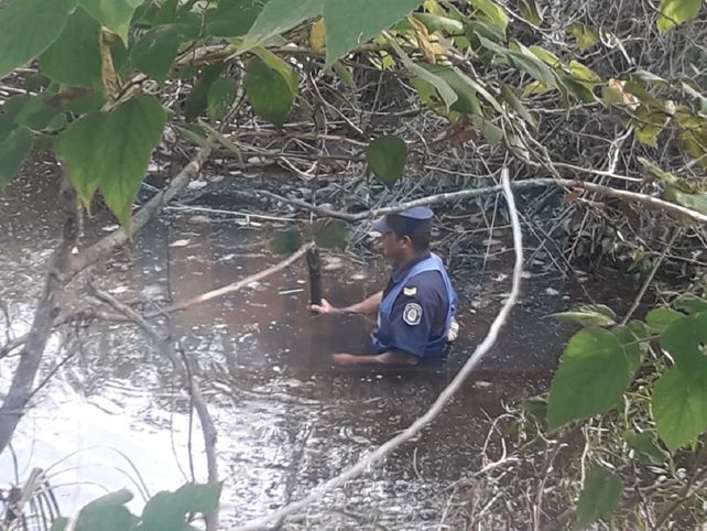 Hernandarias: buscan en montes y arroyos y crecen las dudas sobre los primos