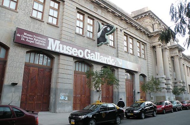 El robo fue en el resto bar del Museo Gallardo