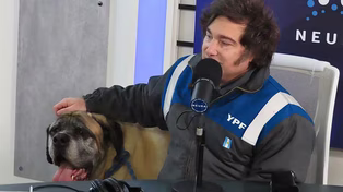 Javier Milei sintió la ofensiva de las redes y los gobernadores
