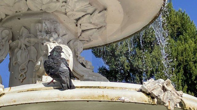 El Servicio Meteorológico Nacional (SMN) pronosticó para los próximos siete días altas temperaturas