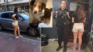 Rosario: detuvieron a la dueña del perro muerto en el auto