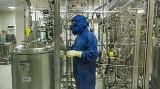 Control sanitario y alimenticio en laboratorios de Concepción del Uruguay