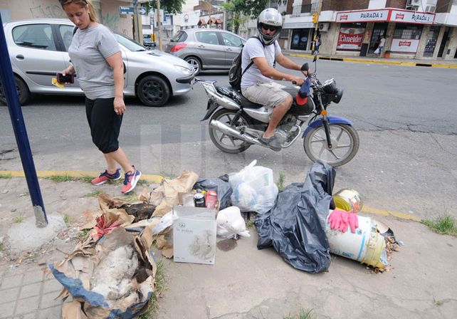 Denuncian el envenenamiento de 30 gatos en la Casa Cingolani de barrio Candioti