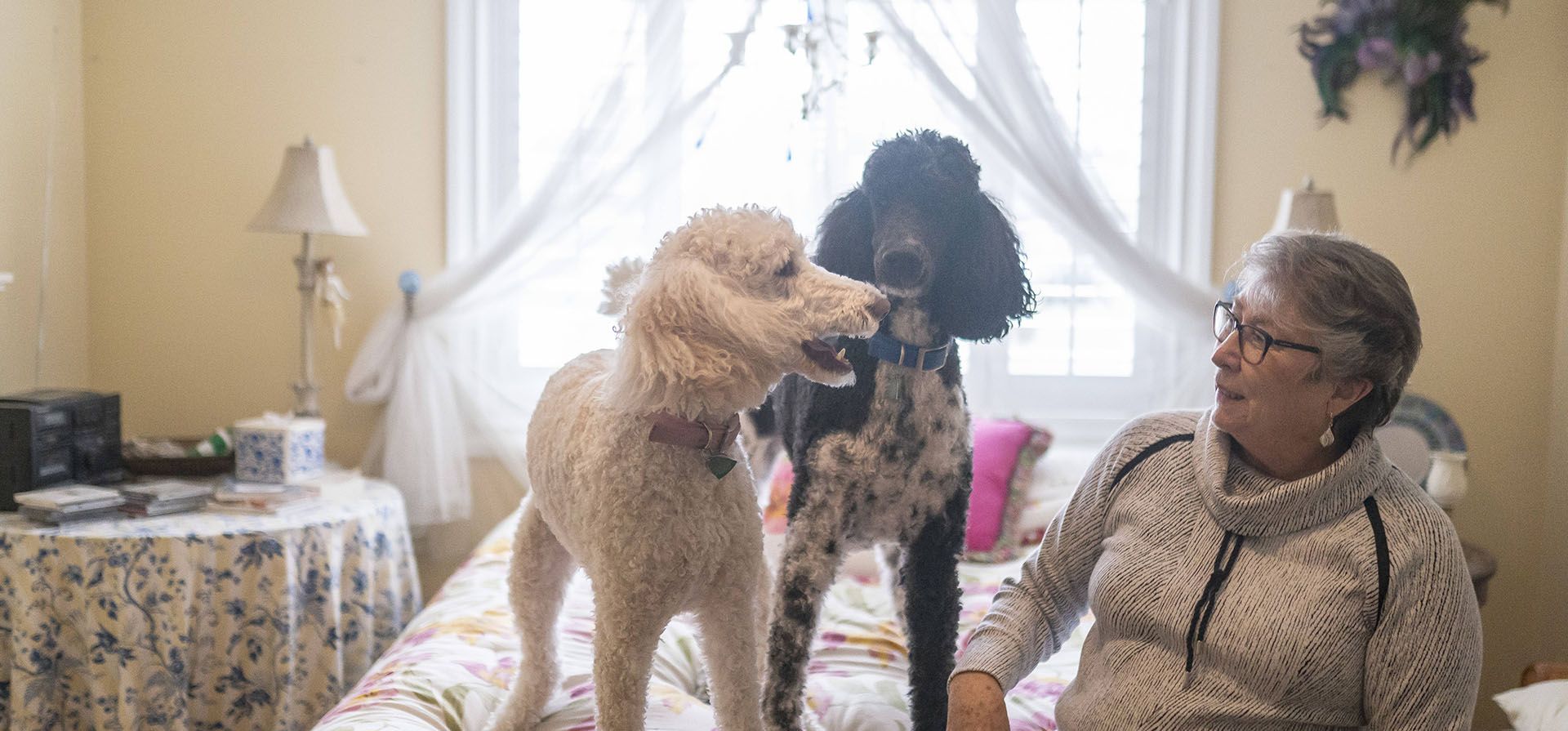 Joyce Ares juega con sus caniches Gracie, a la izquierda, y Oliver en el comedor de su casa en Canby, Oregón. Joyce ofreció como voluntaria para hacerse un análisis de sangre que se anuncia como una nueva frontera en el cáncer cribado para personas sanas. Busca el cáncer al buscar fragmentos de ADN arrojados por las células tumorales.