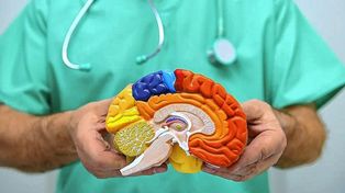 Estrategias para mejorar la salud del cerebro y evitar el Alzheimer