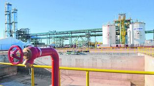 Industria del biodiésel: se caen las exportaciones y en Santa Fe se trabaja al 50%