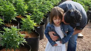 Ingresan aceite de marihuana con fin medicinal para una nena con síndrome de West