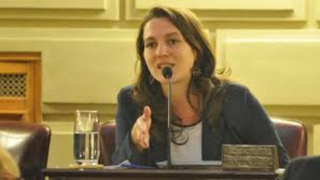 Meier. Autora del proyecto presentado en la Legislatura.&nbsp;