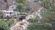Hallaron un cuerpo sin vida en un arroyo en Paraná