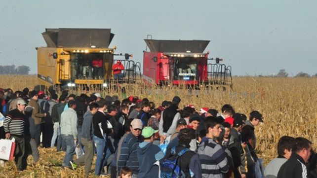 efecto Campo. El agro y la industria vinculada experimentaron una caída a principios de este año.