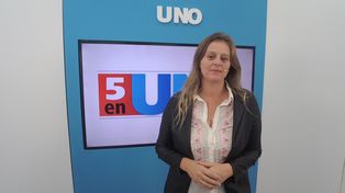 Cinco en UNO: Los títulos más importantes