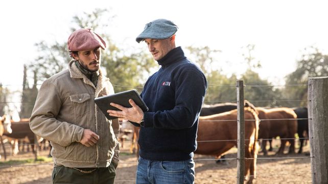El rol del veterinario es de vital importancia al momento de planificar planteos ganaderos exitosos y rentables.