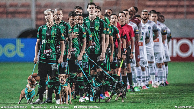 El América Mineiro de Conti ingresó al campo de juego con perros