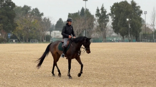 Juegos Suramericanos: Jockey Club esta vez será sede de la equitación, con una pista renovada