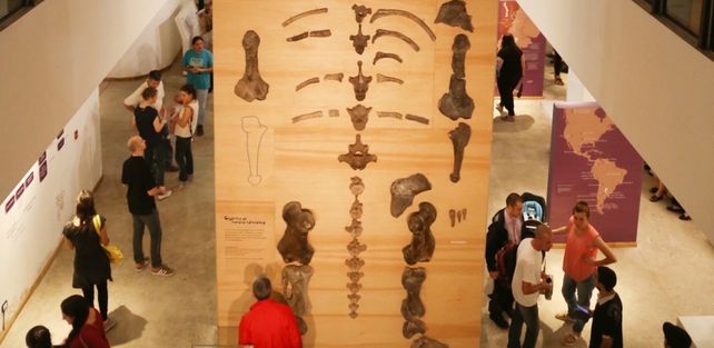 Cultura libre y gratuita: museos y espacios culturales tuvieron récord de público