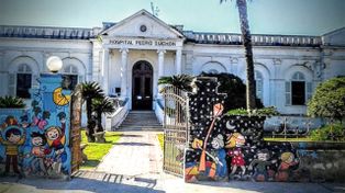 Un enjambre de avispas causó la muerte de un hombre en San Carlos Centro