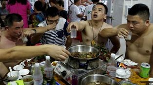 En Taiwán prohíben comer carne de perros y gatos