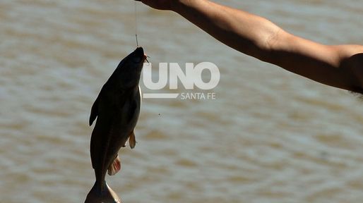 Habilitan la pesca, la navegación y actividades culturales en la provincia