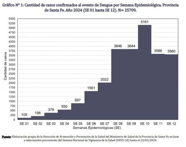 Radiografía del dengue en Santa Fe: los departamentos con más casos y el rango etario más afectado