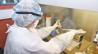 Hay 75 nuevos afectados y en total son 820 en el país