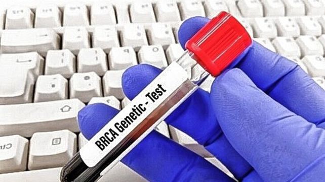 Cáncer: La población hereditaria puede estudiar su salud