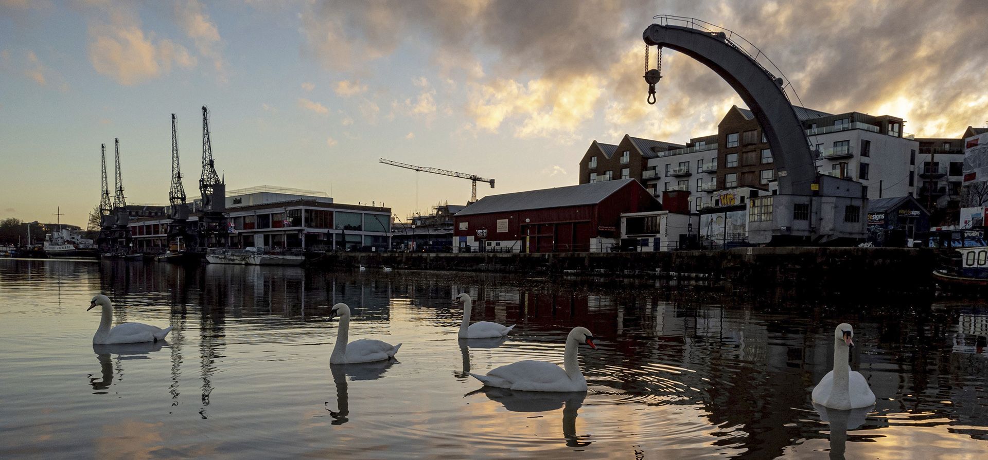 Un grupo de cisnes reposan en el agua mientras sale el sol sobre el puerto de Bristol, en Bristol, Inglaterra, el miércoles 10 de enero de 2024. (Ben Birchall/PA vía AP) Un grupo de cisnes reposan en el agua mientras sale el sol sobre el puerto de Bristol, en Bristol, Inglaterra, el miércoles 10 de enero de 2024. (Ben Birchall/PA vía AP)