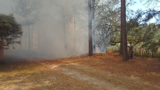 El fuego y el humo asolan el sur de Entre Ríos con incendios en la zona del Delta. Bomberos de Ceibas