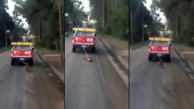 Desalmados. Secuencia televisiva de cómo torturaron al cachorro.