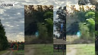 Reconquista. La fotografía fue tomada el martes 13 de julio a las 17:30 en la huerta de Estafanía Biasoni.