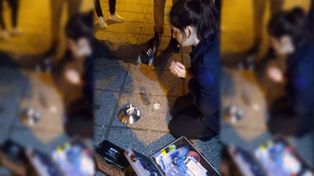 Detuvieron a otro cuidacoches, esta vez, en barrio Candioti