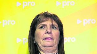 Bullrich se disculpa por tildar a Holanda de narcoestado