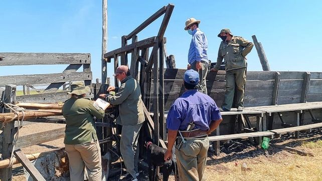 El procedimiento llevado a cabo por La Guardia Rural Los Pumas.