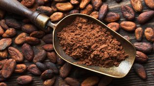Un extracto de cacao podría prevenir el alzheimer antes que aparezcan los síntomas