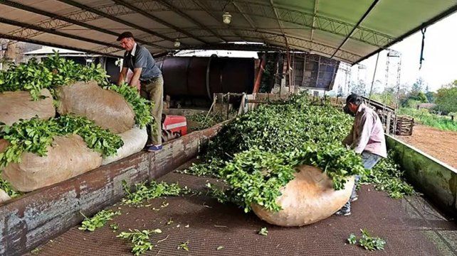 Los más de 12.000 productores