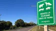 Ambiente: Provincia presentó su primer mapa de atropellamientos de fauna y define acciones para 5 tramos críticos prioritarios.
