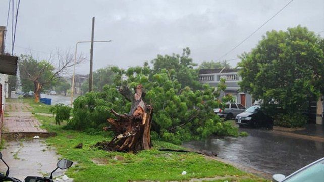 Un fuerte temporal se produjo en Paraná: se registraron fuertes ráfagas