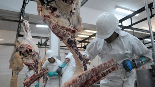 Estiman que durante el 2013 crecerá un 5 por ciento la producción de carne