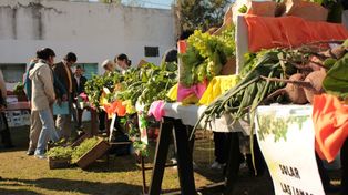 El sábado comienza la Feria Popular de Frutas y Verduras