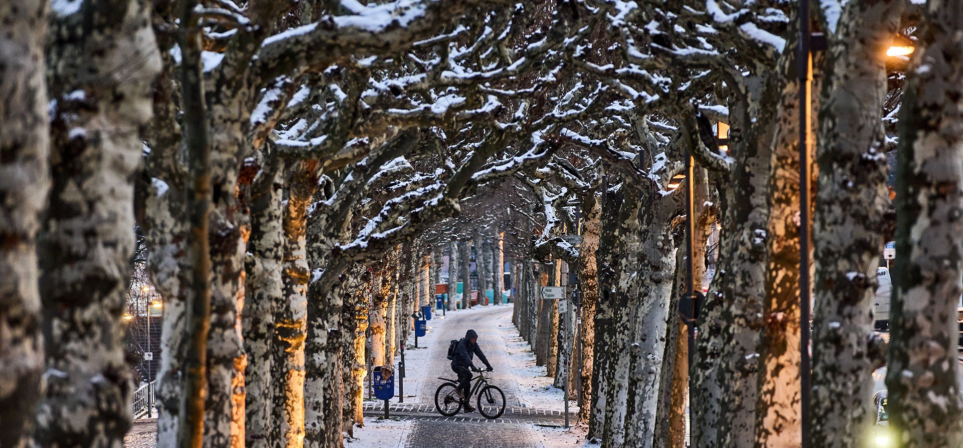 Un camino con nieve en Fráncfort, Alemania, el 7 de enero del 2026. (AP foto/Michael Probst) Un camino con nieve en Fráncfort, Alemania, el 7 de enero del 2026. (AP foto/Michael Probst)