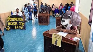 Inédito: una concejala sesionó con disfraz de perro