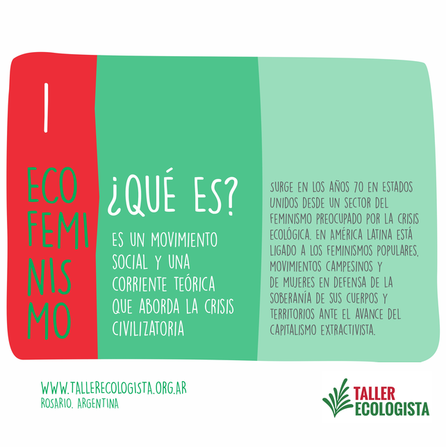 Cinco preguntas básicas sobre Ecofeminismo. Fuente: Taller Ecologista.