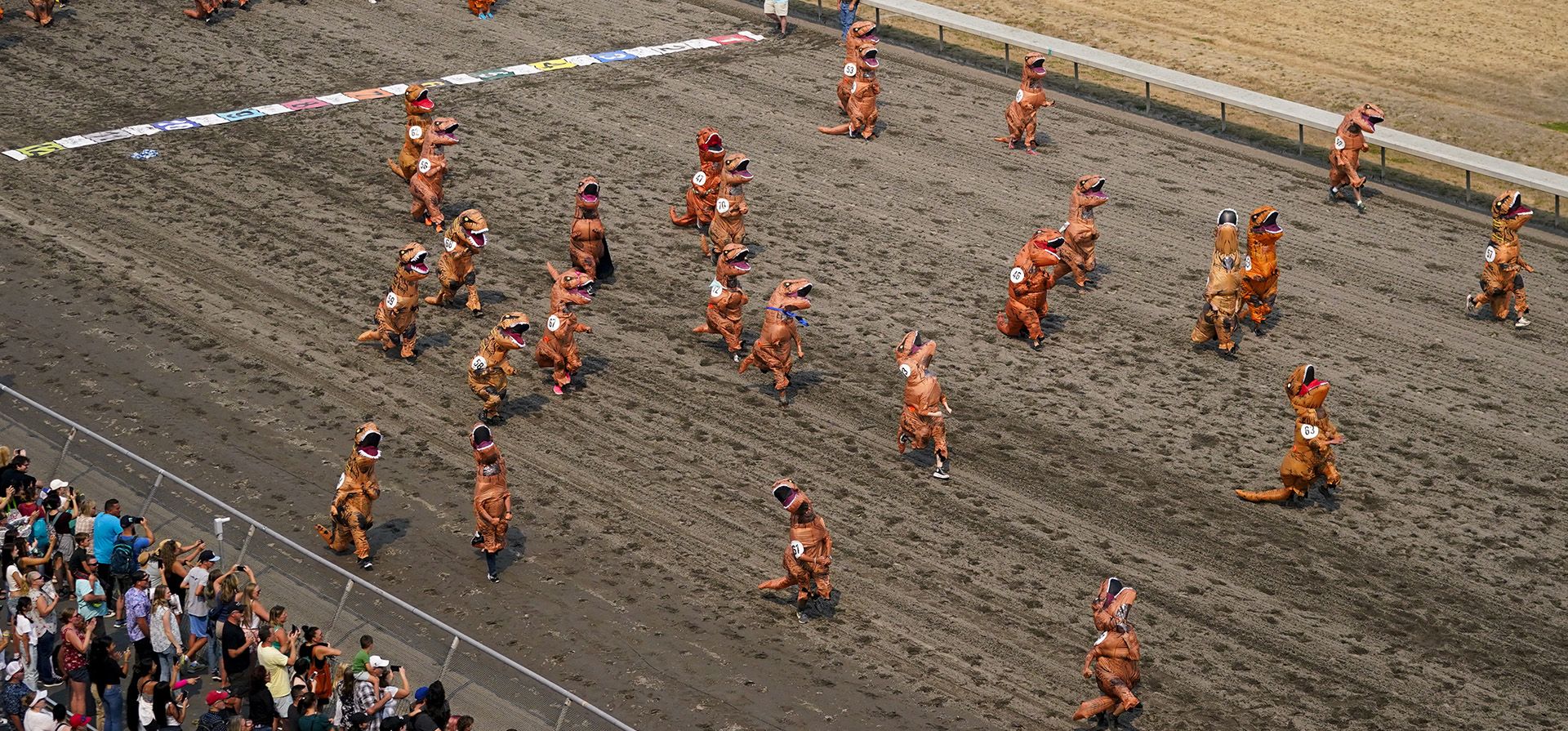 Corredores disfrazados de T-Rex participan en la primera serie de eliminatorias durante las "Carreras del Campeonato Mundial T-Rex" en Emerald Downs, en Auburn, Washington (Foto AP/Lindsey Wasson). Corredores disfrazados de T-Rex participan en la primera serie de eliminatorias durante las "Carreras del Campeonato Mundial T-Rex" en Emerald Downs, en Auburn, Washington (Foto AP/Lindsey Wasson).