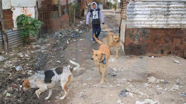 Barrio Antártida Argentina: Al borde de la barranca y cercados por la basura
