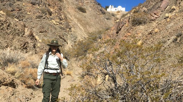 Ana Del Castillo: guardiana del ambiente
