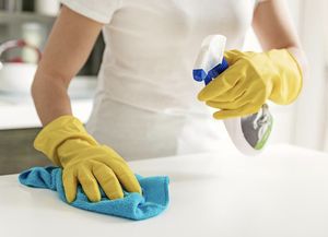 Ansés recordó un importante beneficio para un grupo de empleadas domésticas en julio