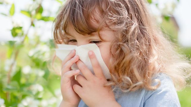 Primavera: 17 tips y recomendaciones para prevenir alergia