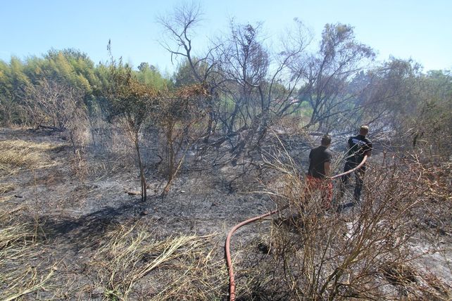 Bomberos controlaron el incendio en el barrio Médico de Paraná