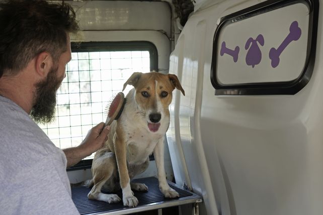 La peluquería móvil para bañar y cortarle el pelo a perros es un éxito en distintos barrios de Rosario y Funes.
