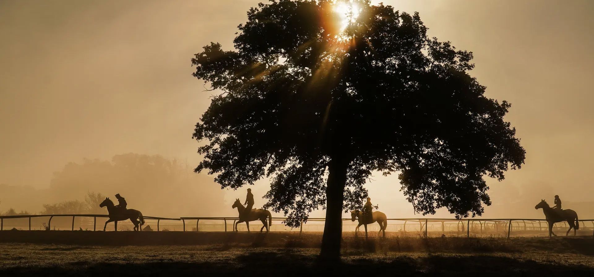 Caballos al galope en Sam Drinkwater